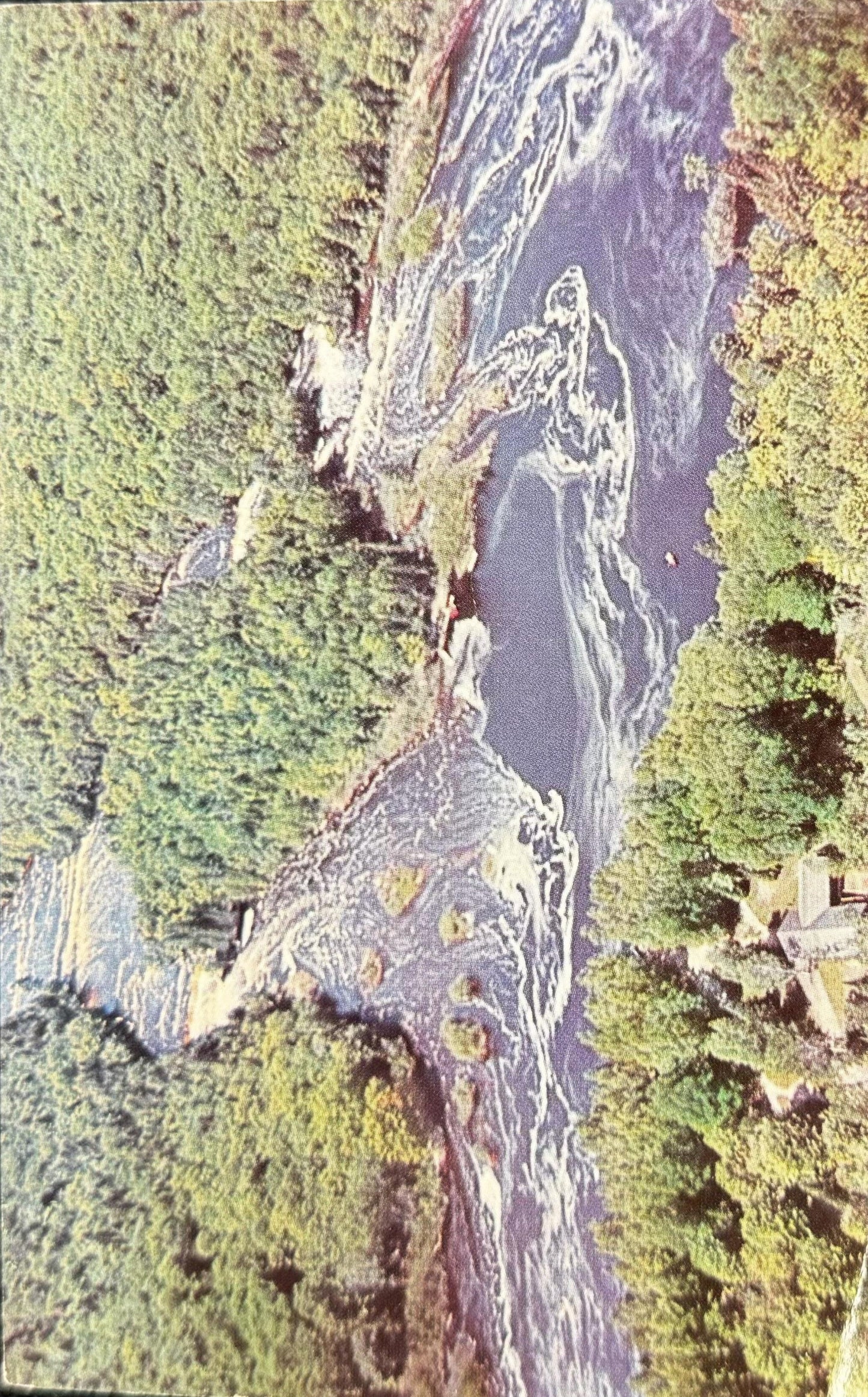 Lower Tahquamenon Falls, Michigan Vintage Postcard