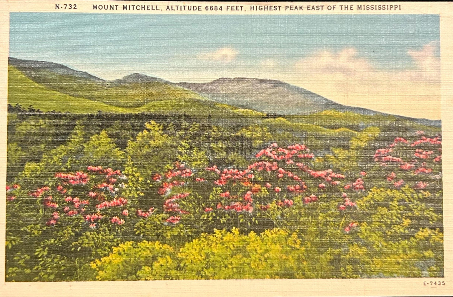 Mount Mitchell, Altitude 6684 Feet, Highest Peak East of the Mississippi - Linen Postcard