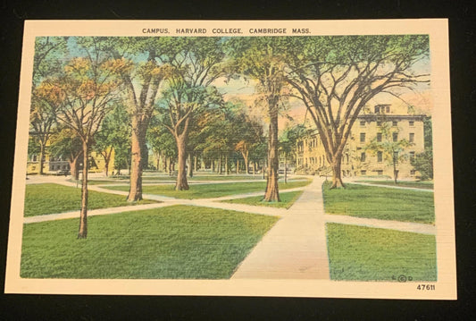 Campus - Harvard College - Cambridge, Massachusetts - 1940s Linen Postcard