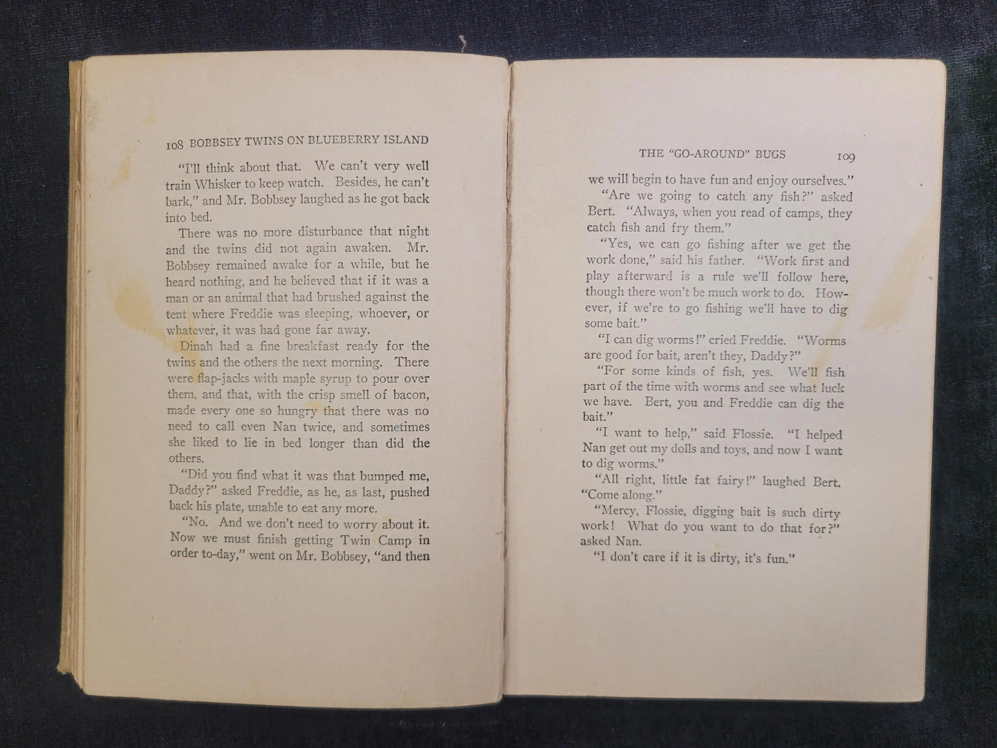 The Bobbsey Twins On Blueberry Island - Book 10 - Laura Lee Hope