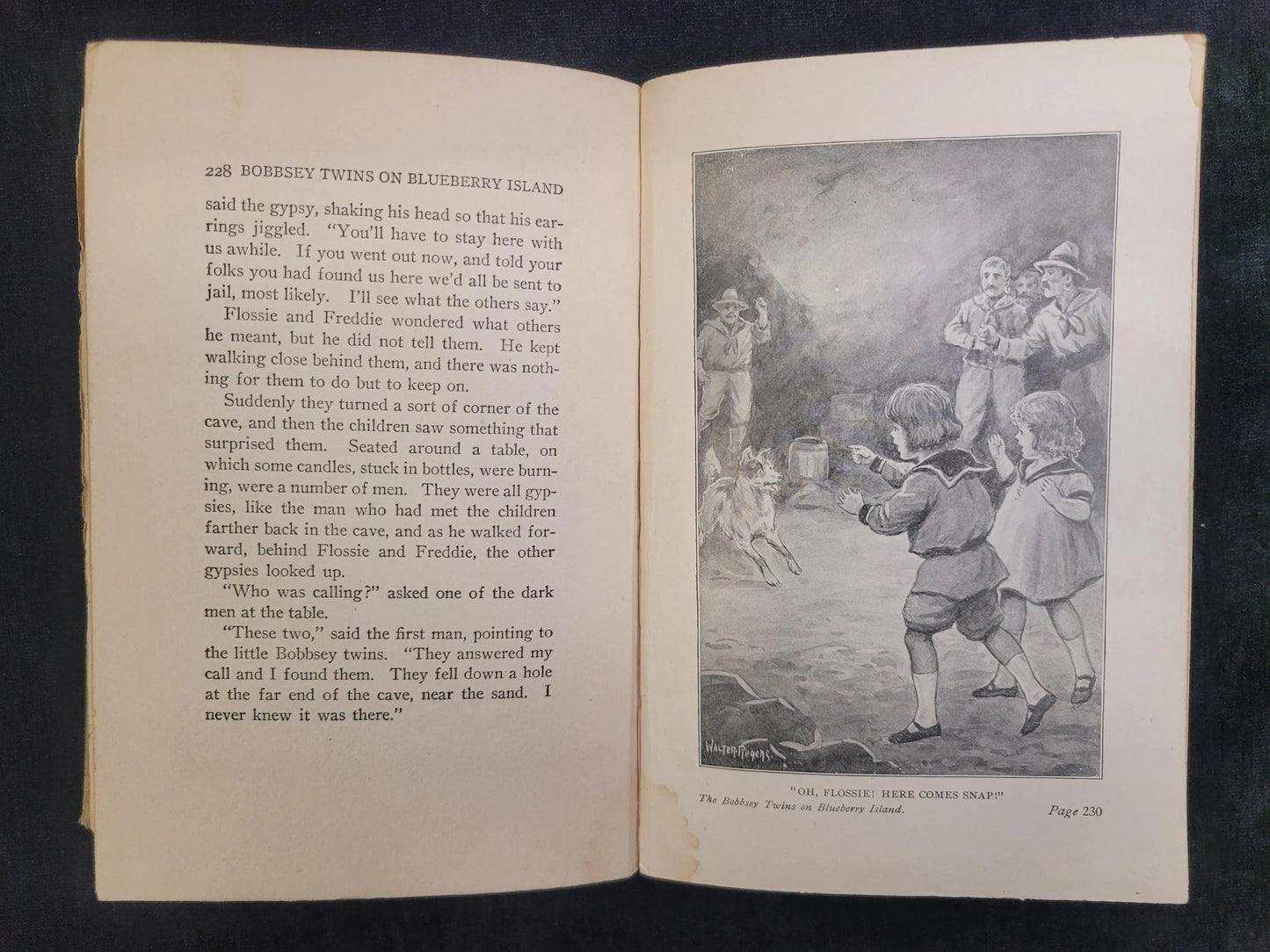 The Bobbsey Twins On Blueberry Island - Book 10 - Laura Lee Hope