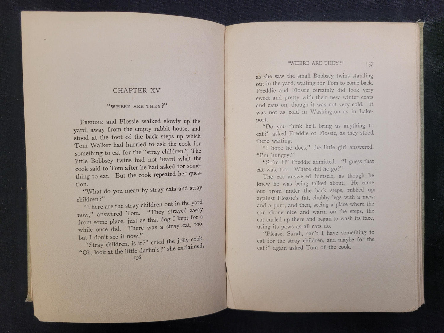 The Bobbsey Twins In Washington - Book 12 - Laura Lee Hope