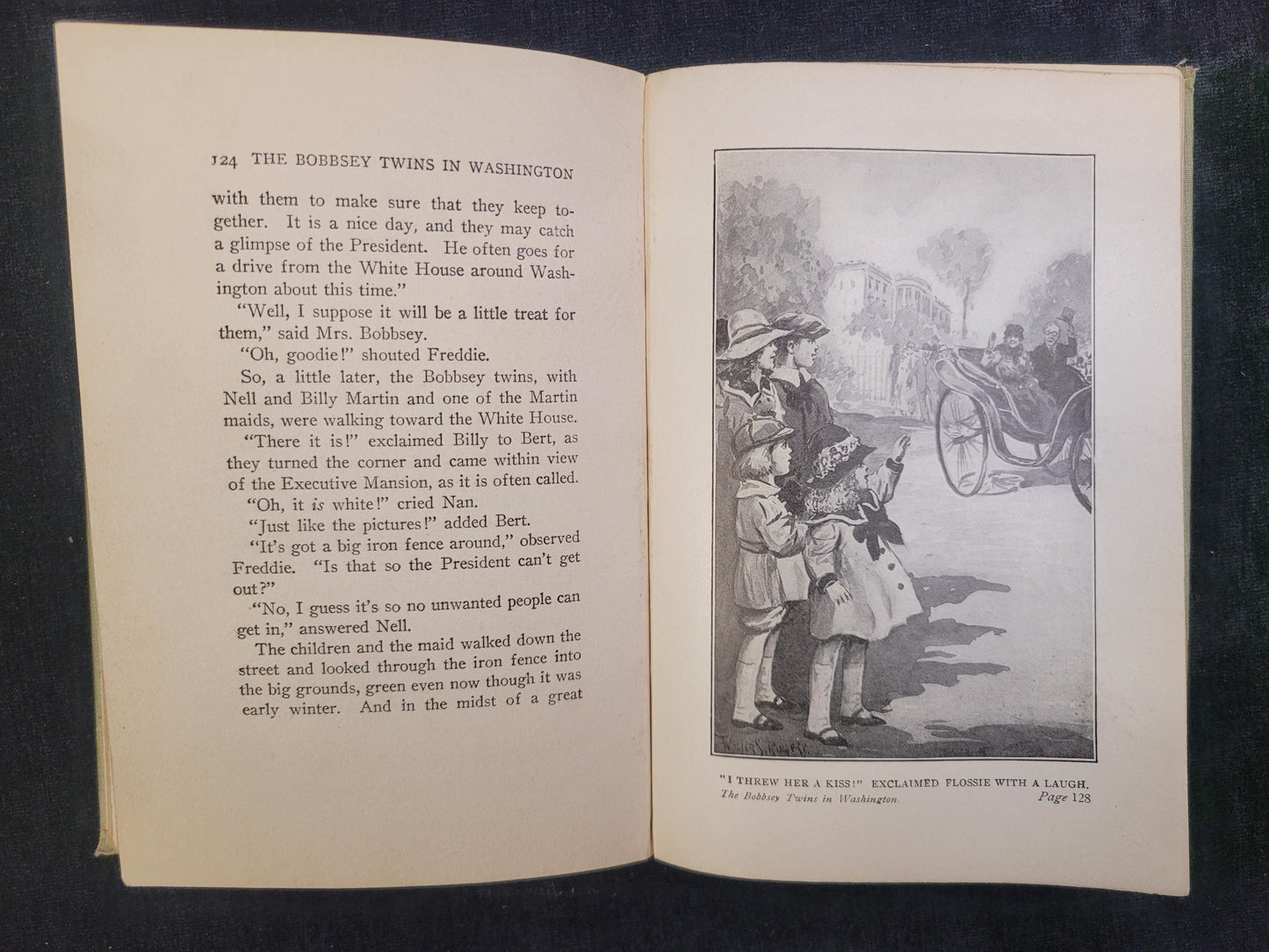 The Bobbsey Twins In Washington - Book 12 - Laura Lee Hope