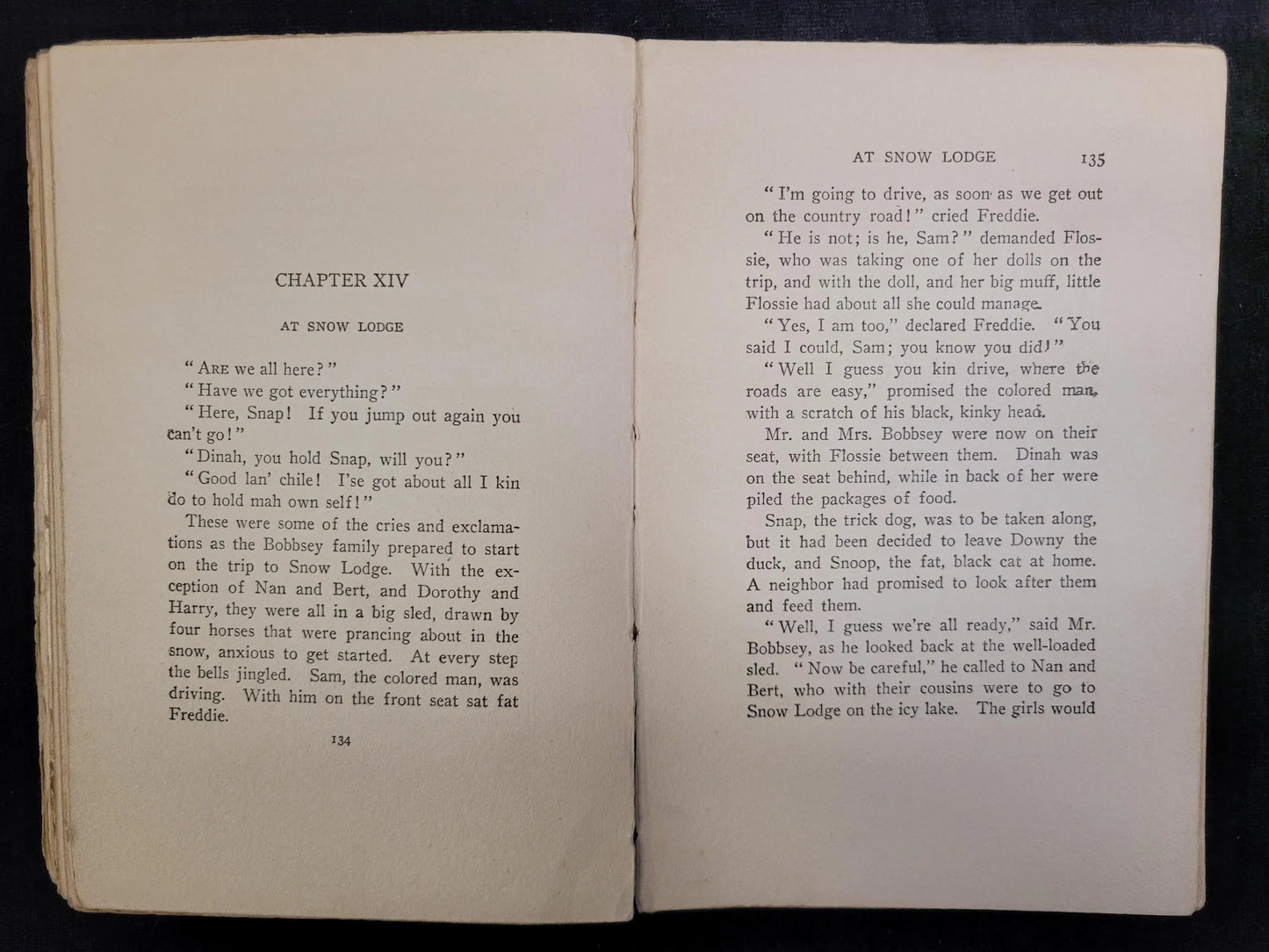The Bobbsey Twins at Snow Lodge - Book 5 - Laura Lee Hope