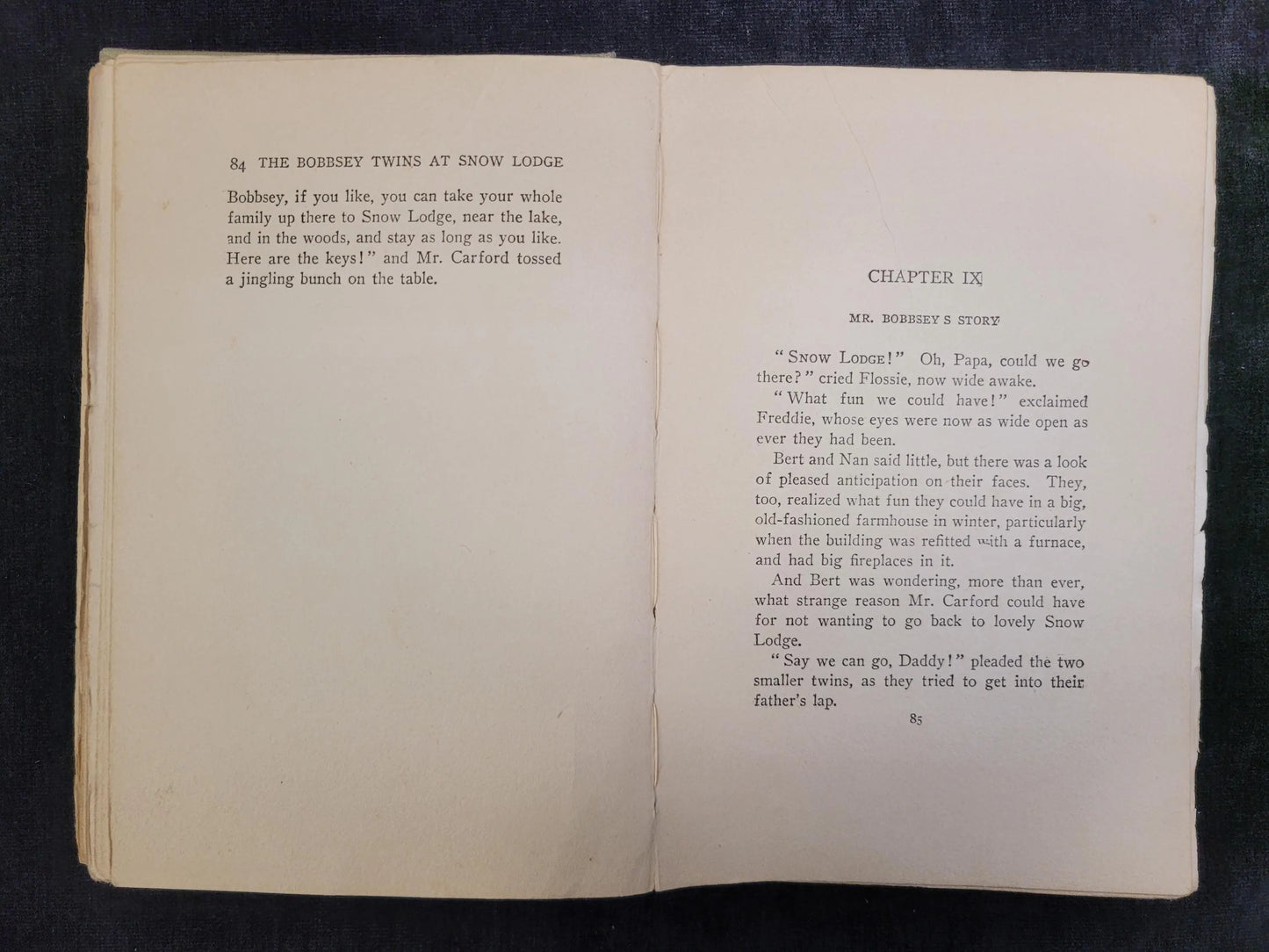 The Bobbsey Twins at Snow Lodge - Book 5 - Laura Lee Hope