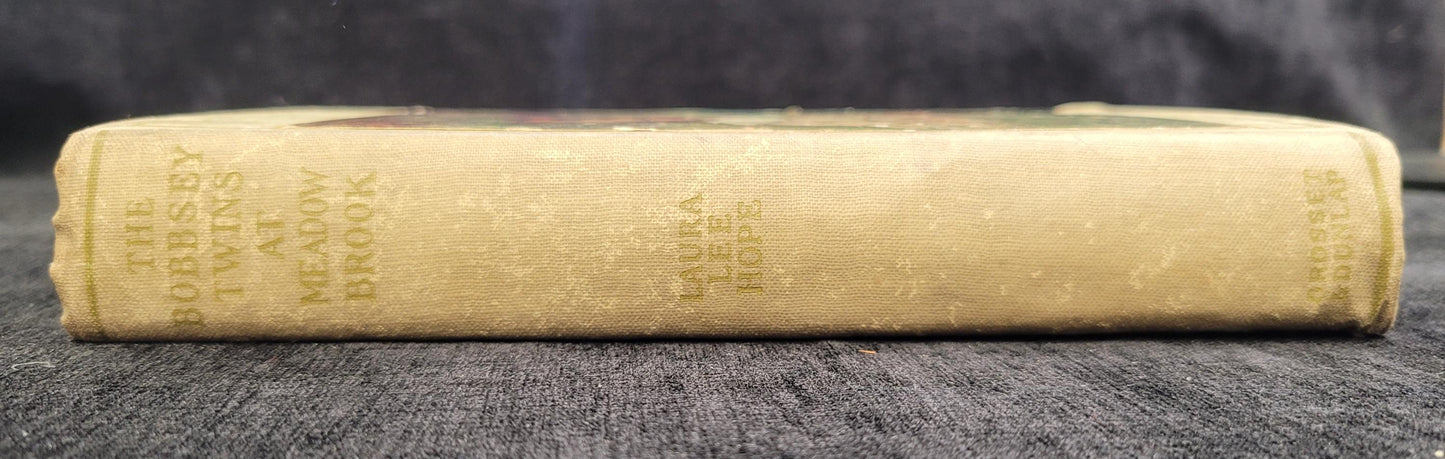 The Bobbsey Twins at Meadow Brook - Book 7 - Laura Lee Hope