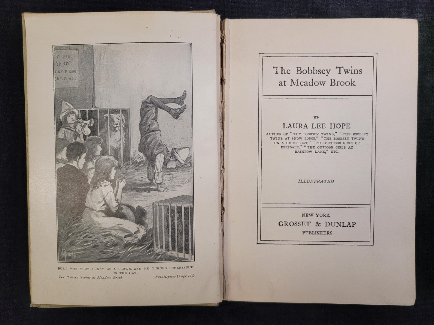 The Bobbsey Twins at Meadow Brook - Book 7 - Laura Lee Hope