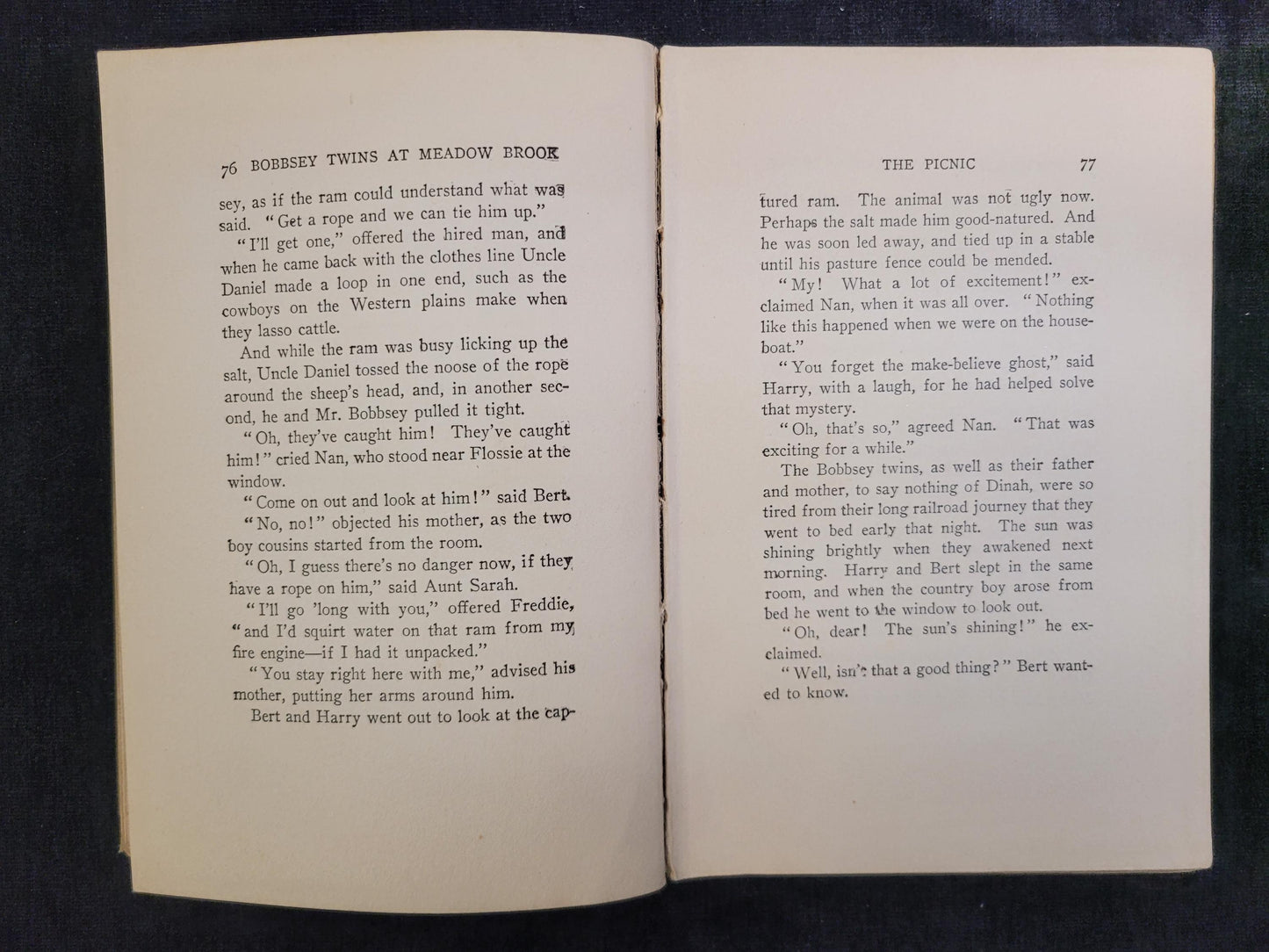 The Bobbsey Twins at Meadow Brook - Book 7 - Laura Lee Hope