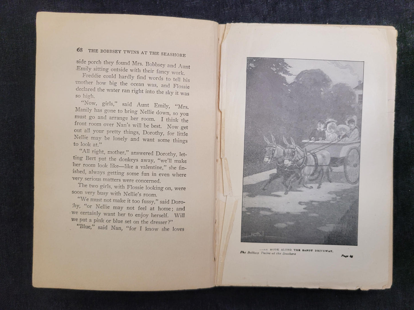 The Bobbsey Twins at the Seashore - Book 3 - Laura Lee Hope