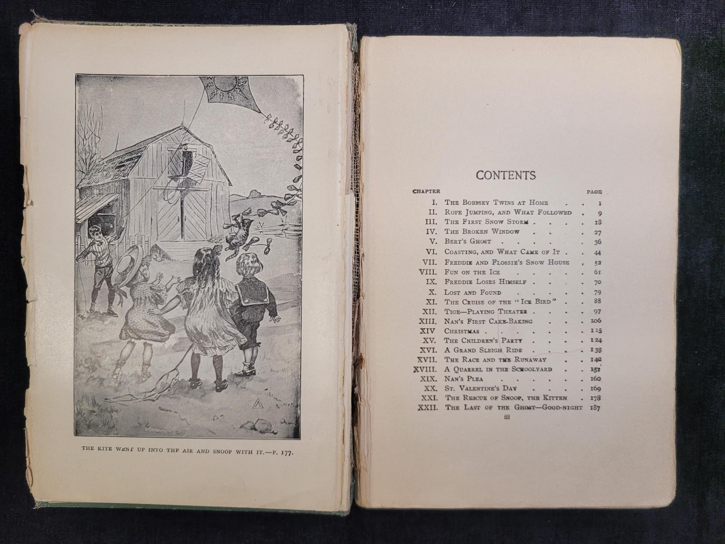 The Bobbsey Twins - Book 1 - Laura Lee Hope