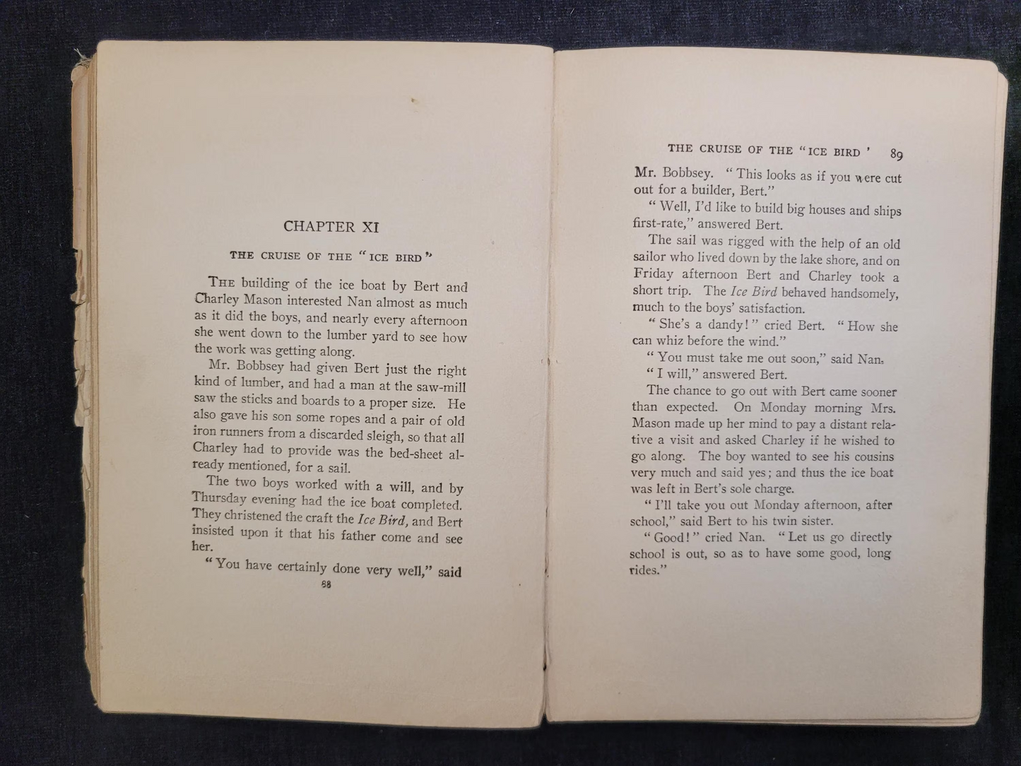 The Bobbsey Twins - Book 1 - Laura Lee Hope