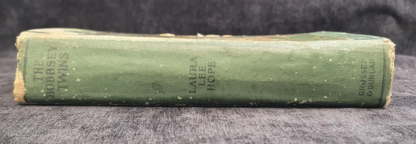 The Bobbsey Twins - Book 1 - Laura Lee Hope