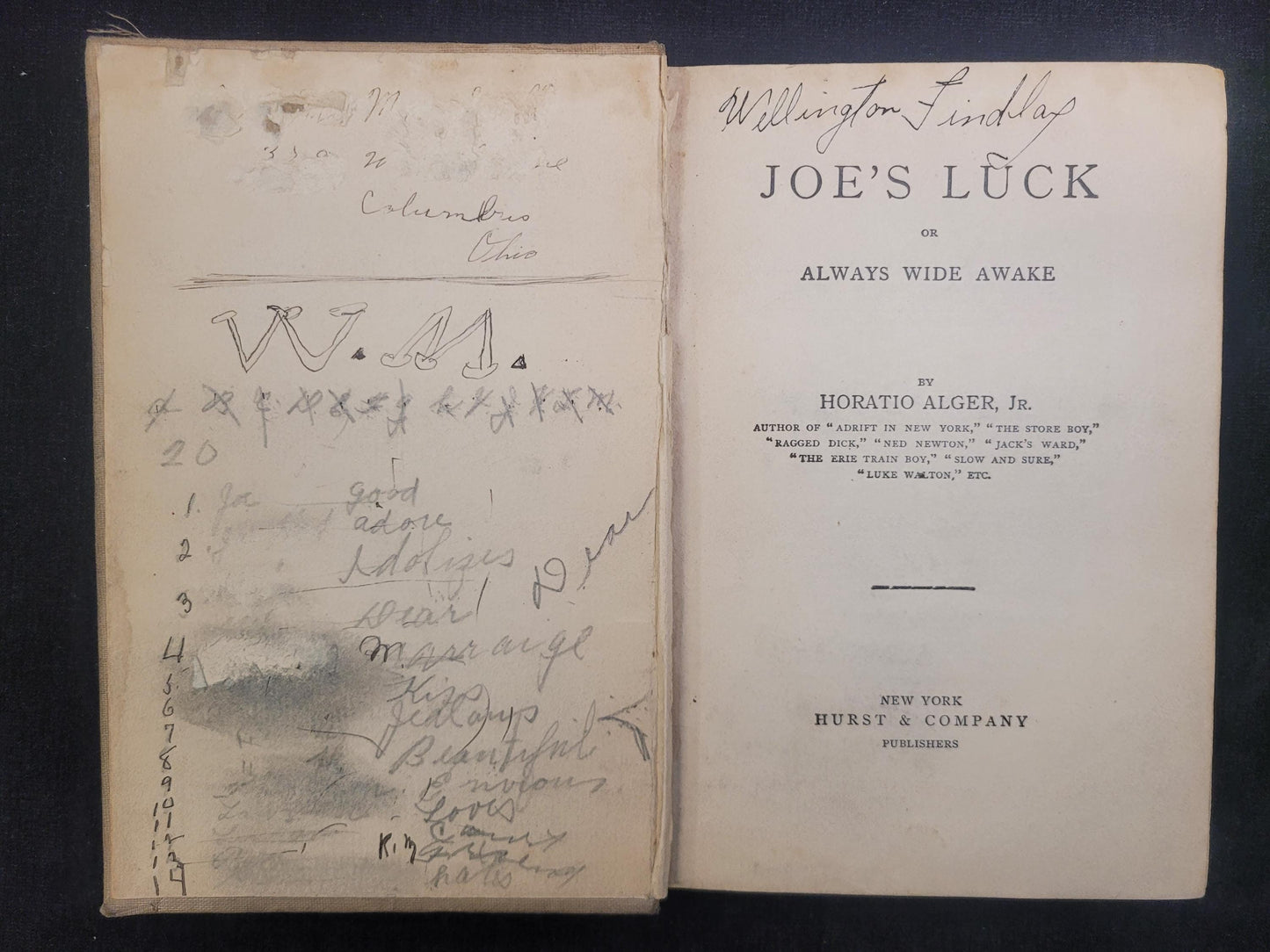 Joe's Luck or Always Wide Awake - by Horatio Alger, Jr - Published by Hurst and Co. - Horatio Alger Series for Boys - 1908