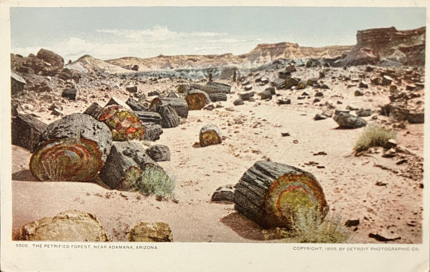 The Petrified Forest - Near Adamana, Arizona - Copyright, 1899, by Detroit Photographic Co. - Vintage Postcard