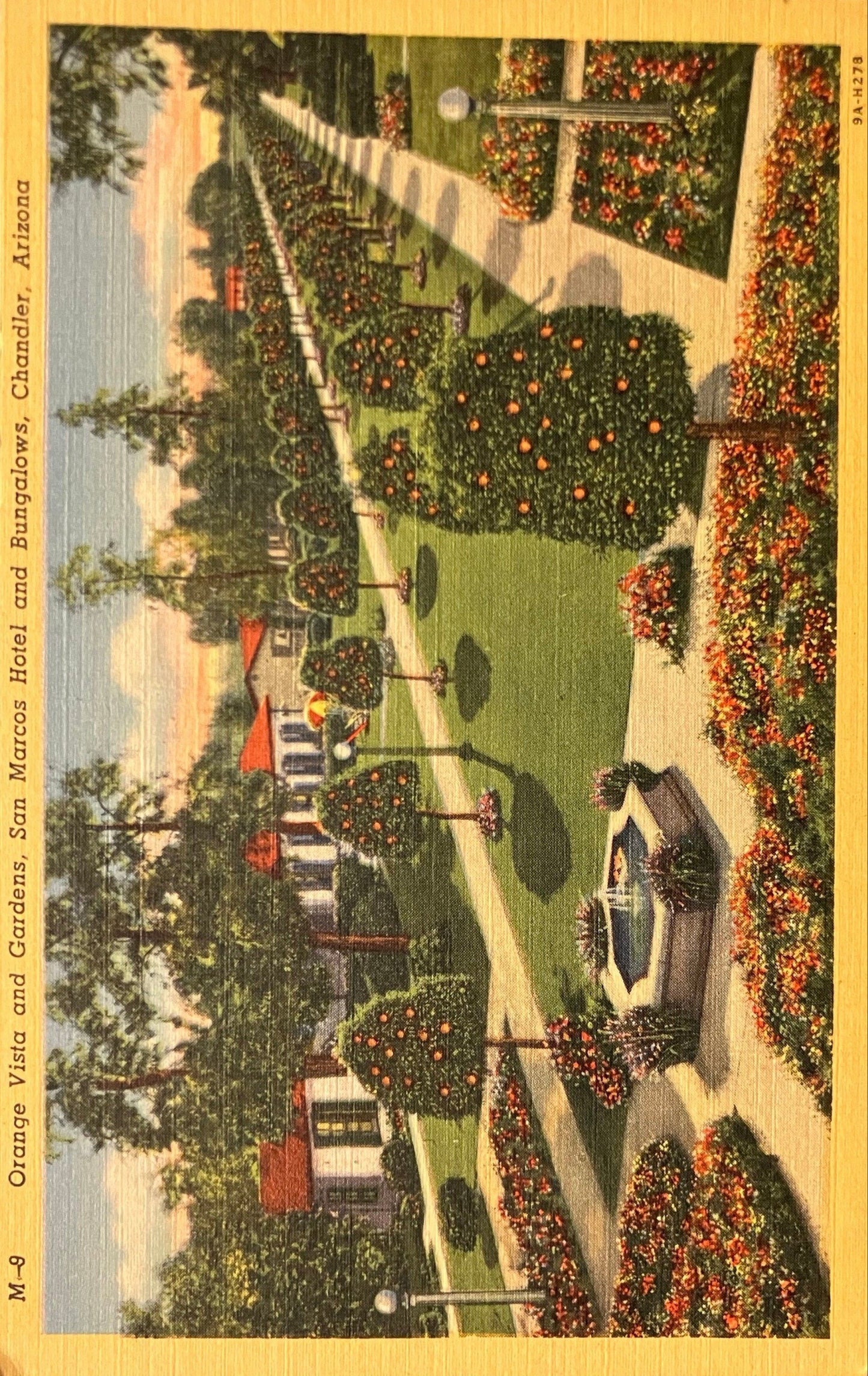 Orange Vista and Gardens - San Marcos Hotel and Bungalows - Chandler, Arizona - 1940s Linen Postcard