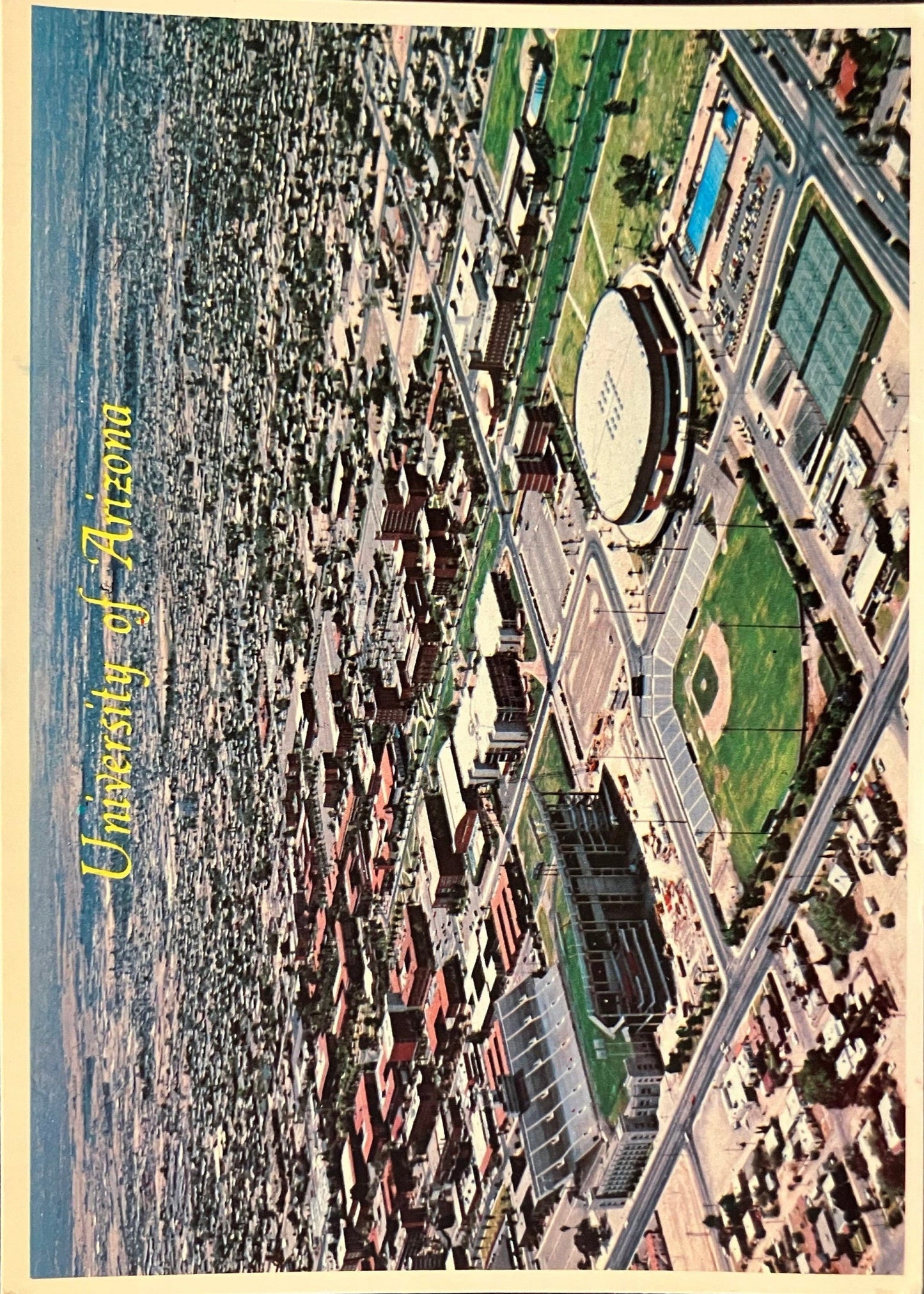 University of Arizona - Photo by Bob Petley - Vintage Postcard