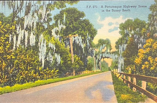 A Picturesque Highway Scene in the Sunny South, Louisiana - 1937 Linen Postcard