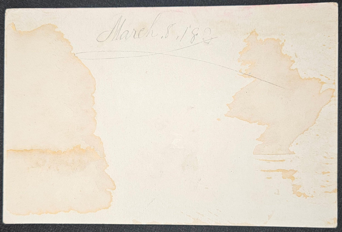 School Reward - Reward of Merit -Victorian Girl and Dog In Forest Illustration - signed by teacher in 1800s - printed Victorian paper scrap