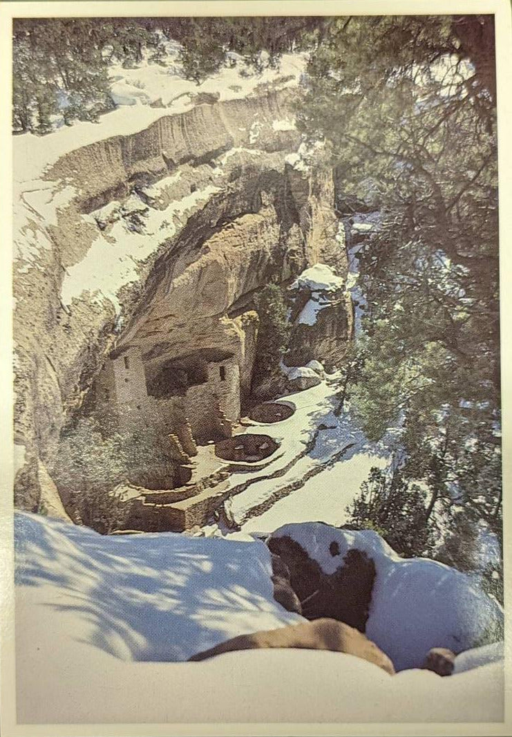 Cliff Palace - Mesa Verde National Park - Colorado Postcard