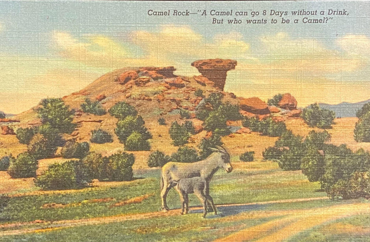 Camel Rock - Santa Fe - Taos Highway, New Mexico - 1942 Linen Postcard