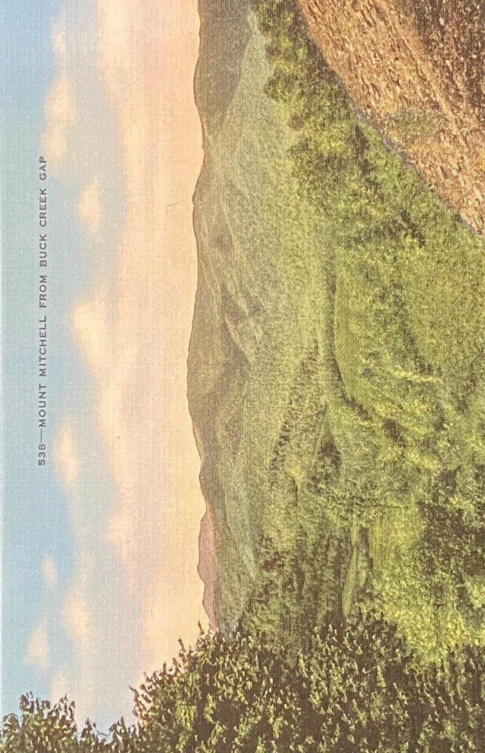 Mount Mitchell - Buck Creek Gap - 1940s Postcard