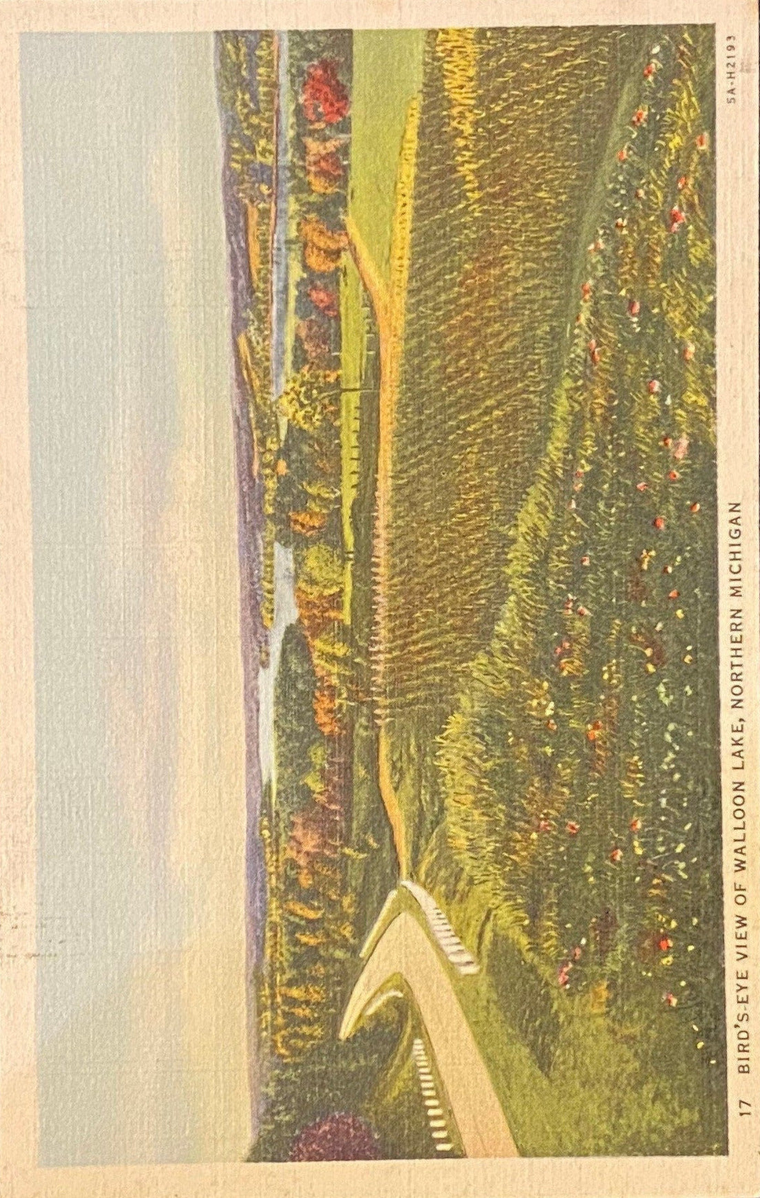Bird's-Eye View - Walloon Lake - Petosky, Michigan - 1935 Linen Postcard