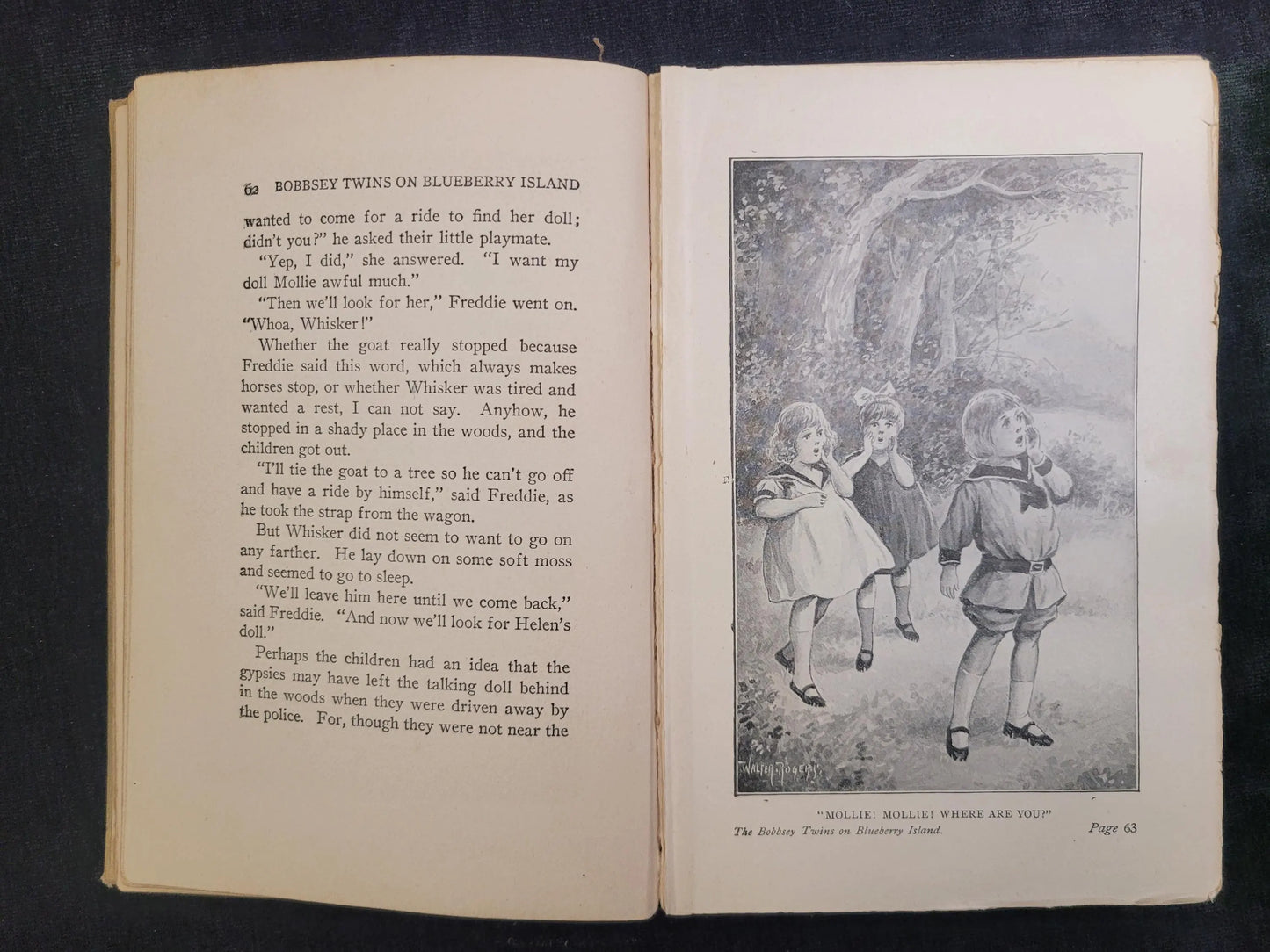 The Bobbsey Twins On Blueberry Island - Book 10 - Laura Lee Hope