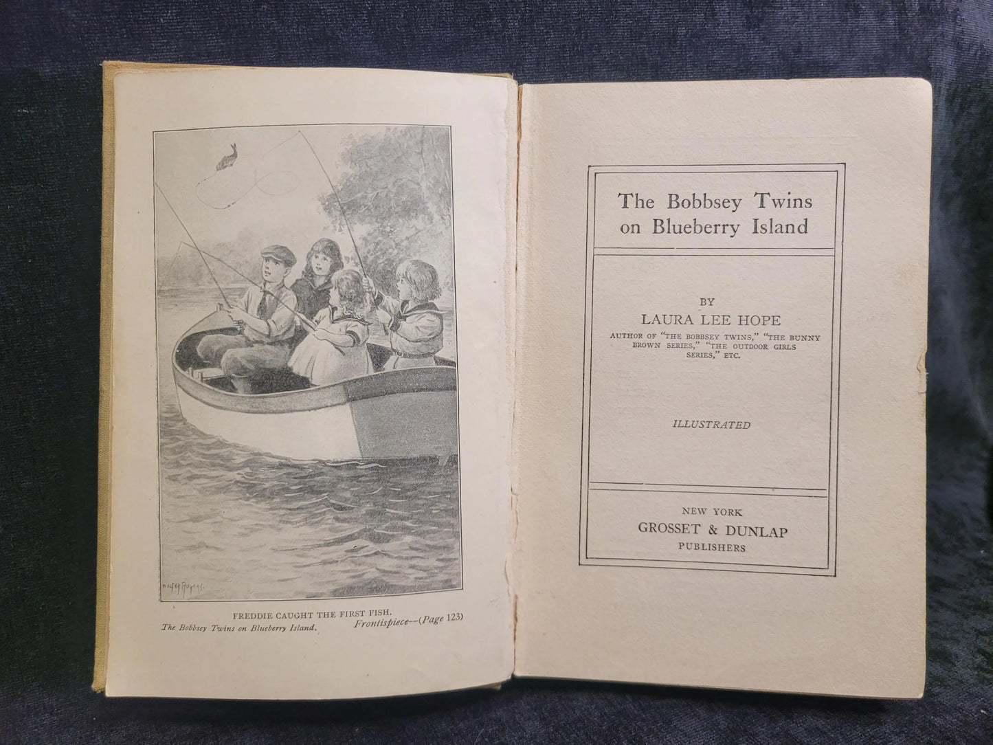 The Bobbsey Twins On Blueberry Island - Book 10 - Laura Lee Hope