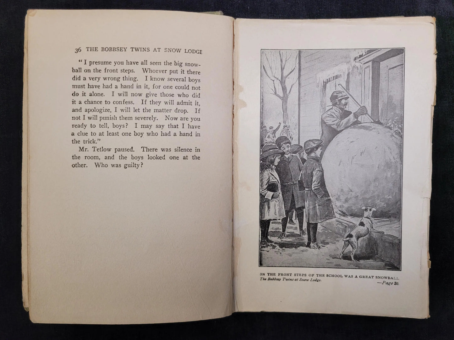 The Bobbsey Twins at Snow Lodge - Book 5 - Laura Lee Hope