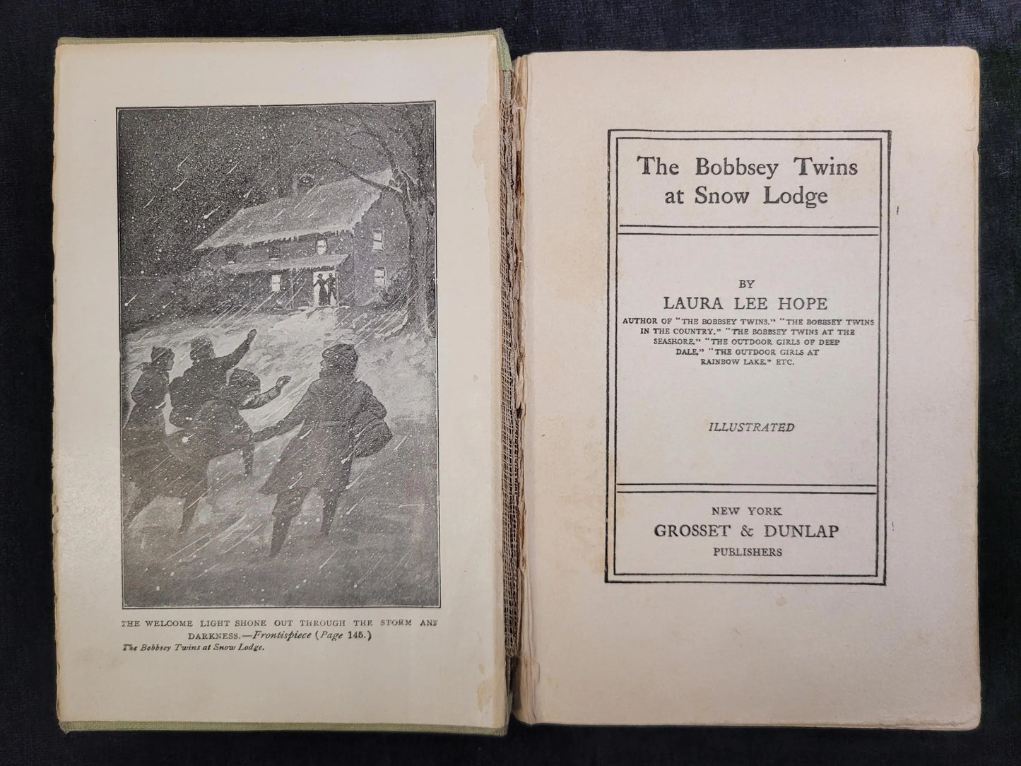 The Bobbsey Twins at Snow Lodge - Book 5 - Laura Lee Hope