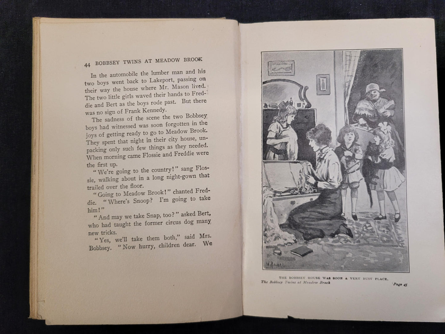 The Bobbsey Twins at Meadow Brook - Book 7 - Laura Lee Hope