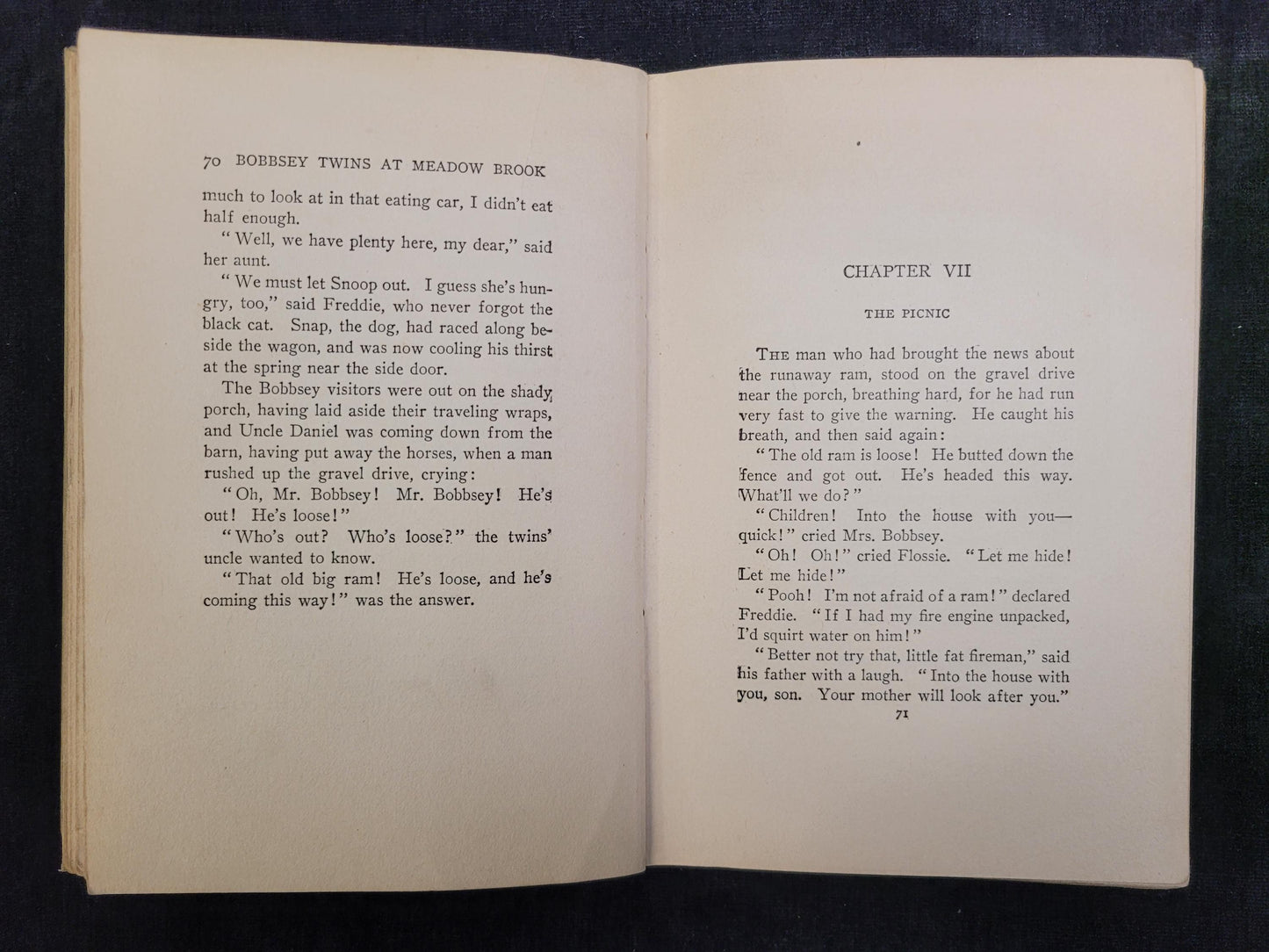 The Bobbsey Twins at Meadow Brook - Book 7 - Laura Lee Hope