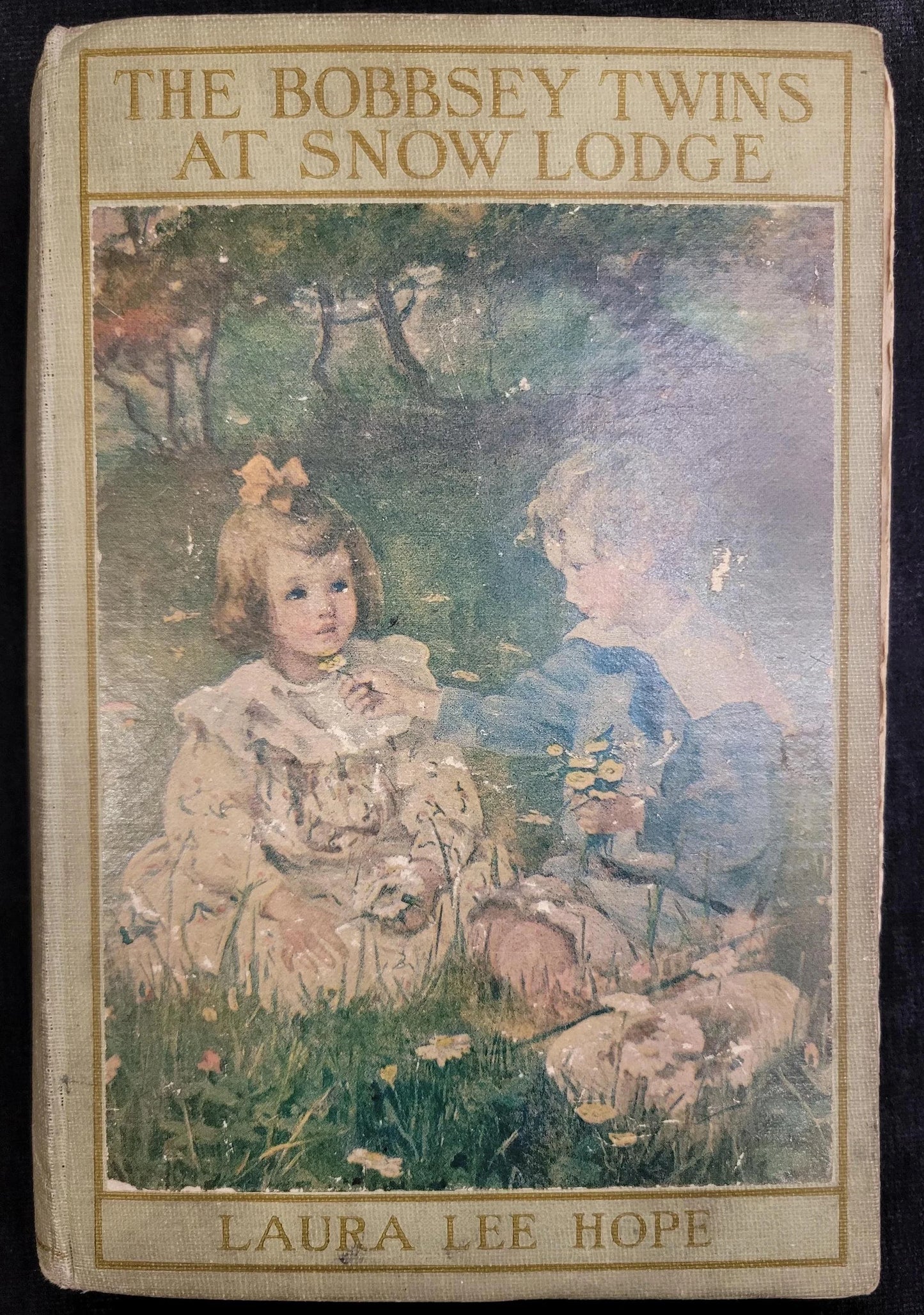 The Bobbsey Twins at Snow Lodge - Book 5 - Laura Lee Hope