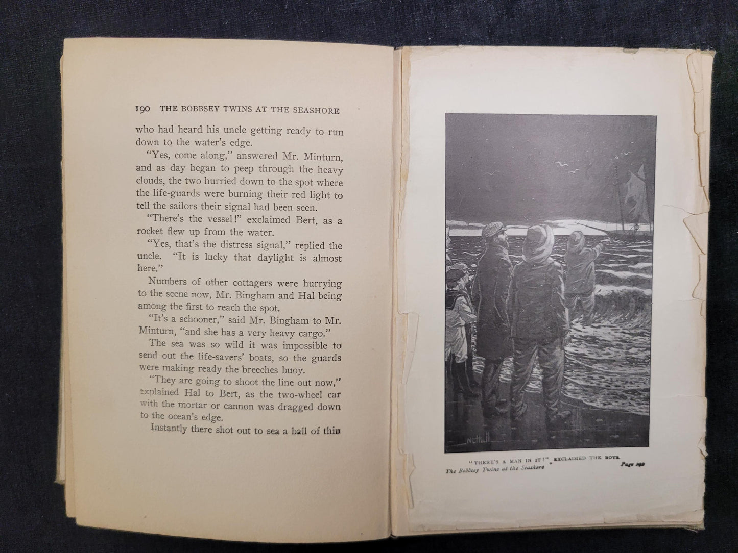 The Bobbsey Twins at the Seashore - Book 3 - Laura Lee Hope