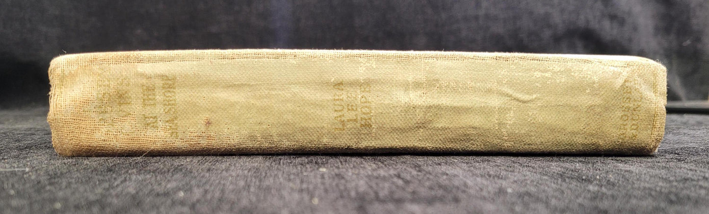 The Bobbsey Twins at the Seashore - Book 3 - Laura Lee Hope