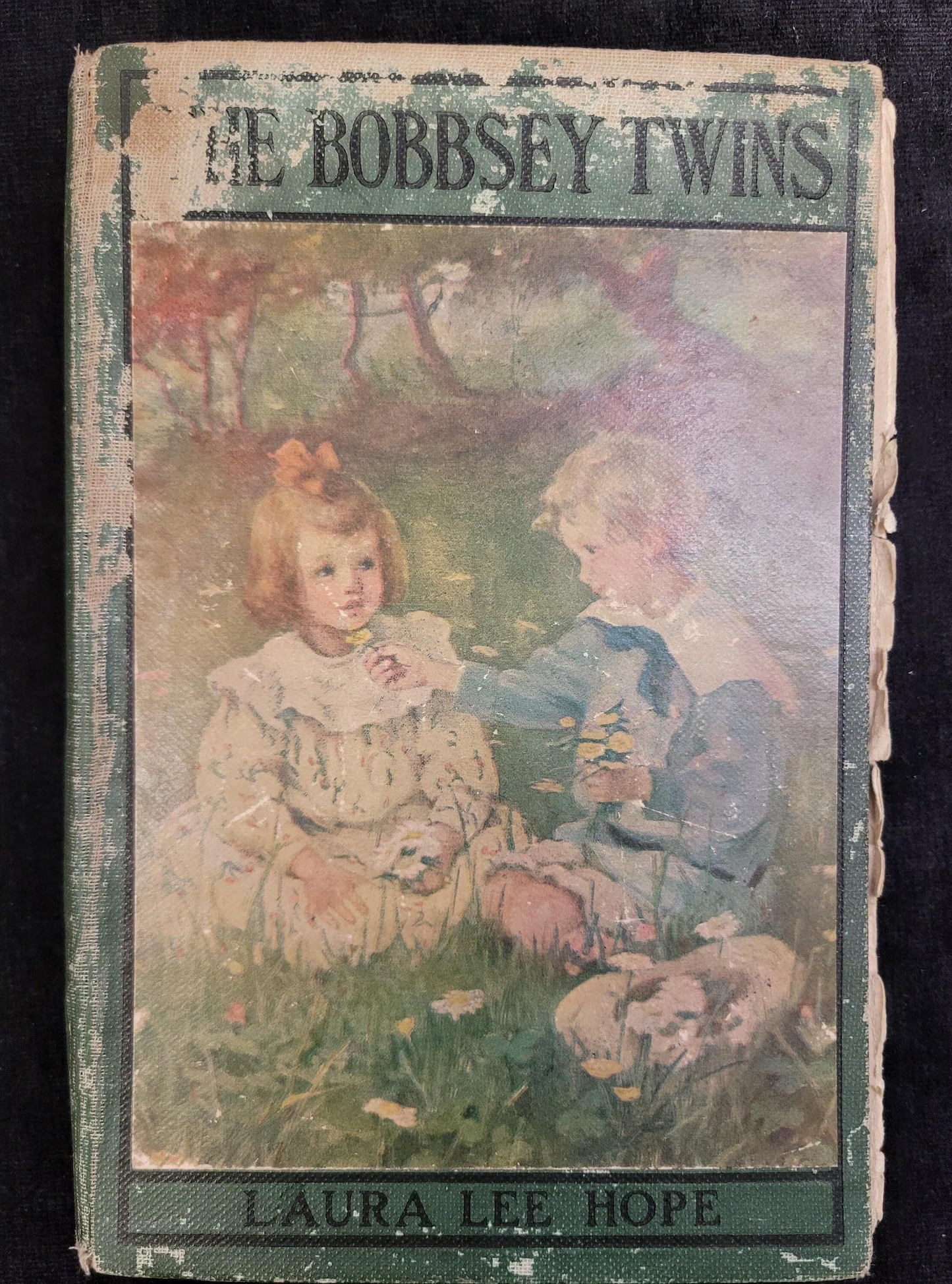 The Bobbsey Twins - Book 1 - Laura Lee Hope