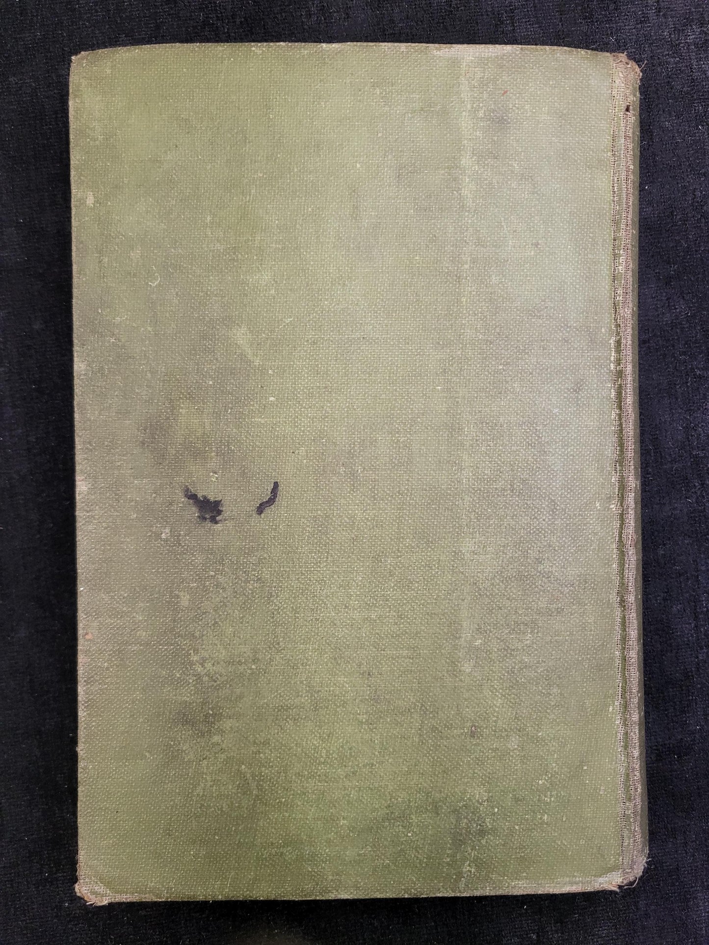 Bunny Brown and his Sister Sue Giving a Show - by Laura Lee Hope - Grosset and Dunlap Book - 1919 Children's book -Missing Tittle page