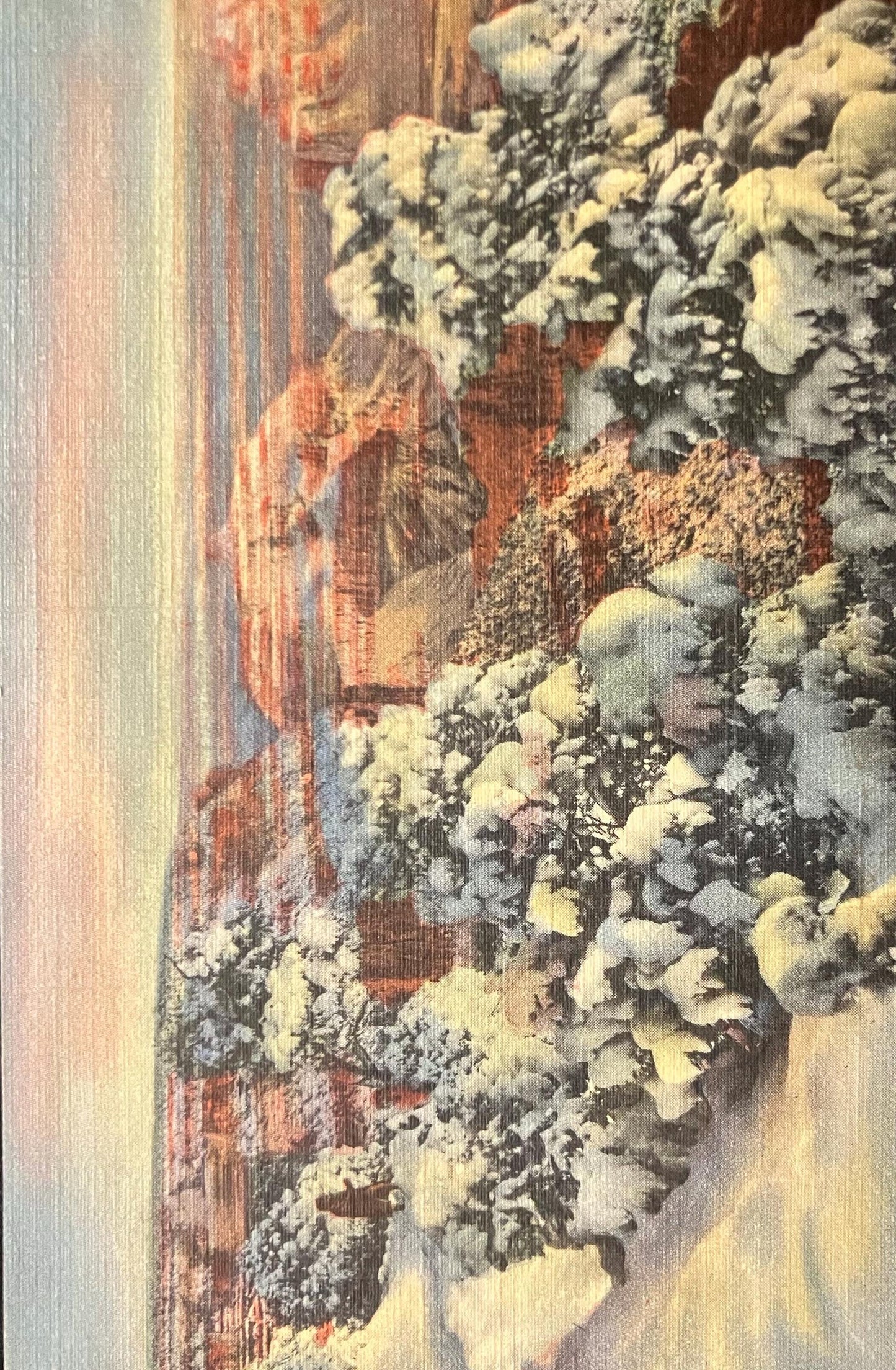 Grand Canyon in the Winter - Arizona - 1940s Linen Postcard