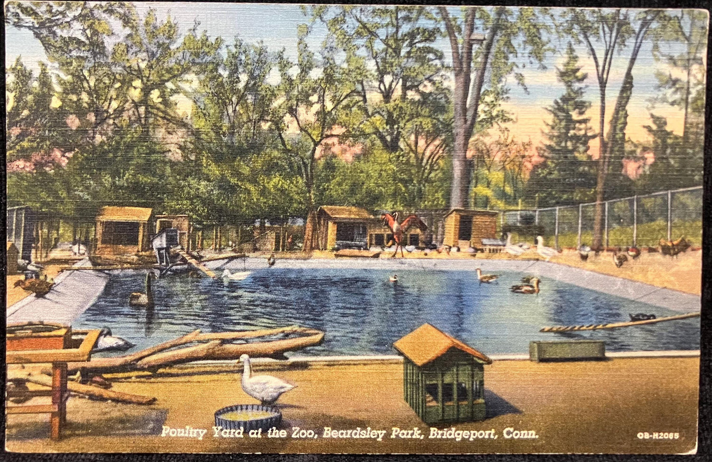 Poultry Yard at the Zoo, Beardsley Park, Bridgeport, Connecticut - 1940s Linen Postcard