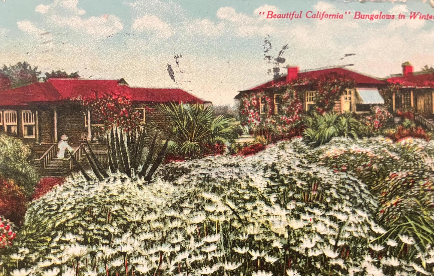 Beautiful California Bungalows in Winter - Vintage Postcard