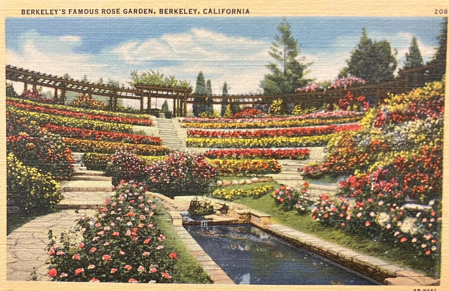Berkeley’s Famous Rose Garden, Berkeley, California - Vintage Postcard