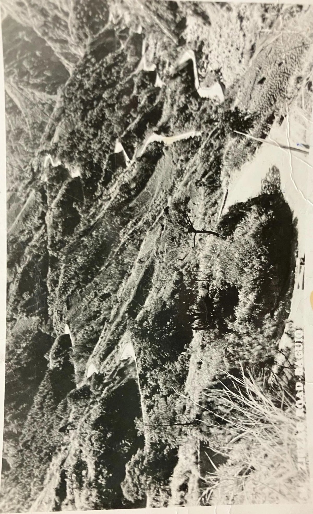 RPPC - Very Curvy Road in Mountain Valley- Baguio, Philippines - Vintage Postcard