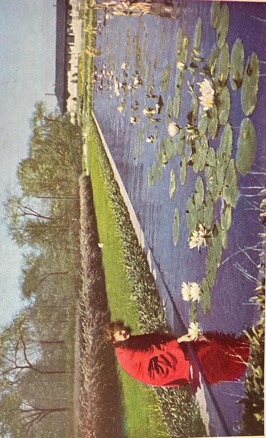 Lily Pond in Garfield Park, Chicago, Illinois - Vintage Park Postcard