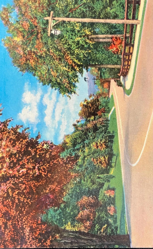 Greetings from Buchanan, Michigan - Vintage Postcard