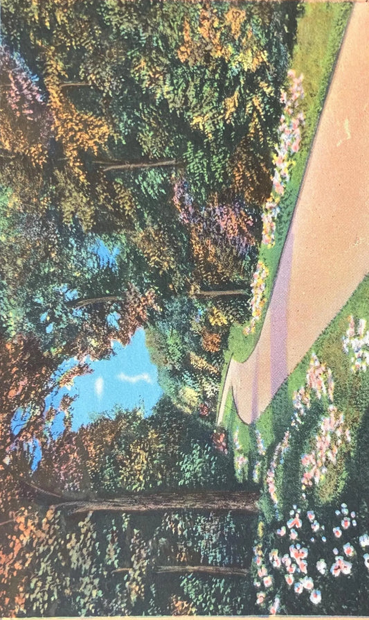 Greetings from Cassopolis, Michigan - Vintage Postcard