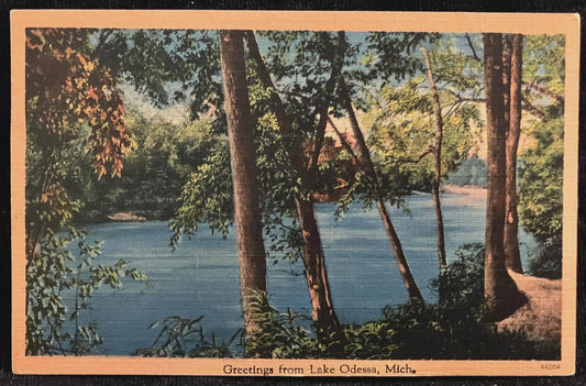Greetings from Lake Odessa, Michigan - Vintage Lake Postcard