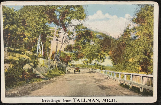 Greetings from Tallman, Michigan - Vintage Postcard
