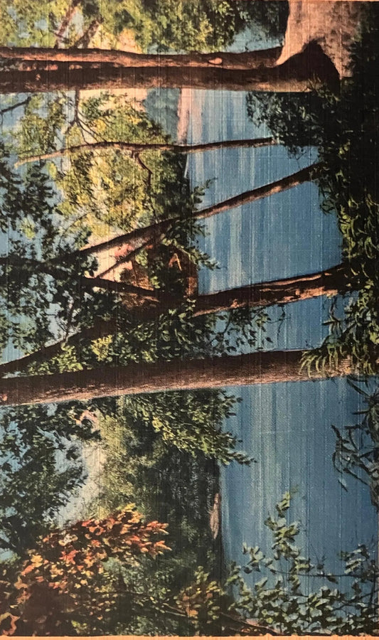 Greetings from Lake Odessa, Michigan - Vintage Lake Postcard