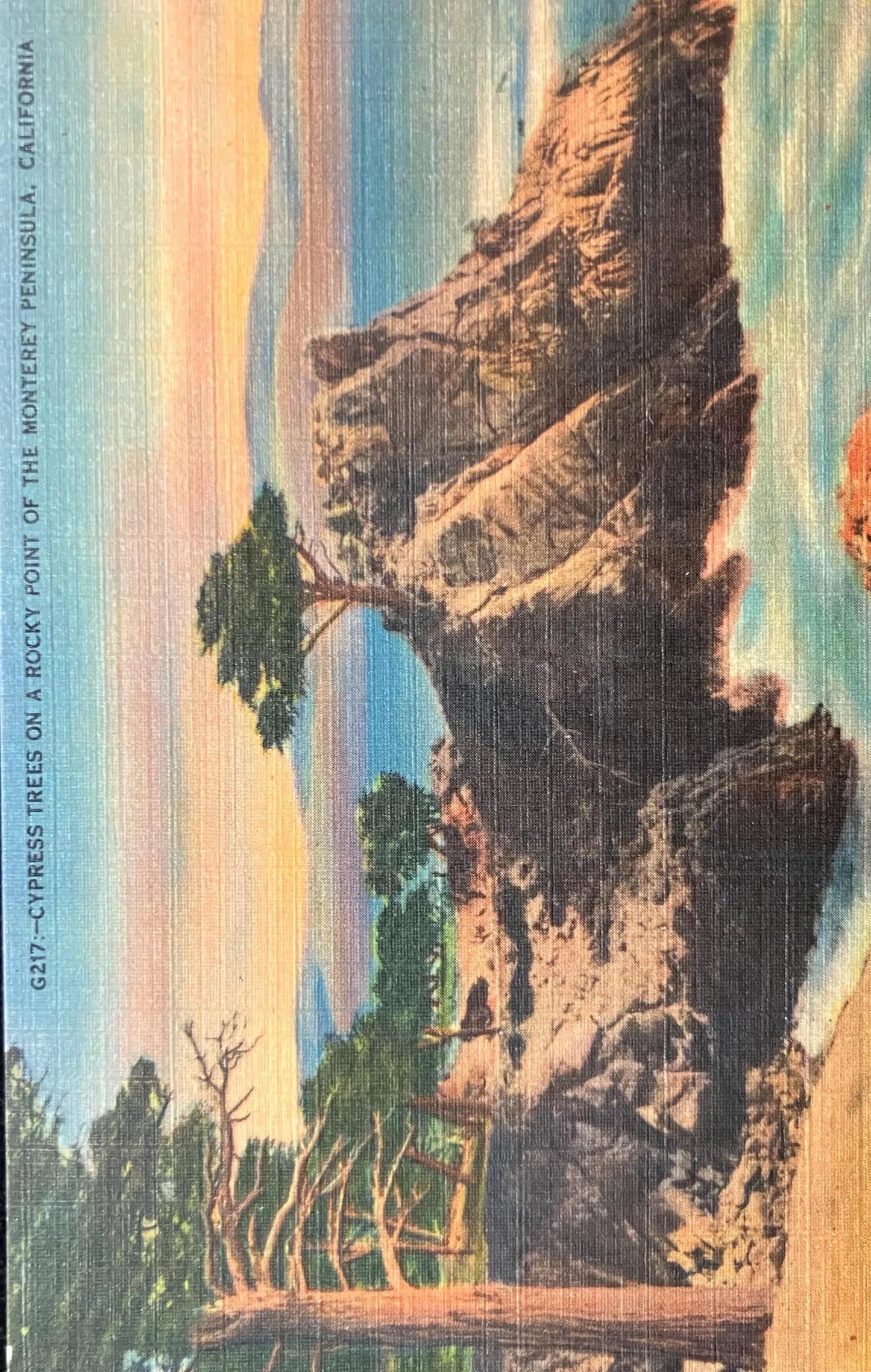 Cypress Trees on a Rocky Point of the Monterey Peninsula, California - Vintage Postcard