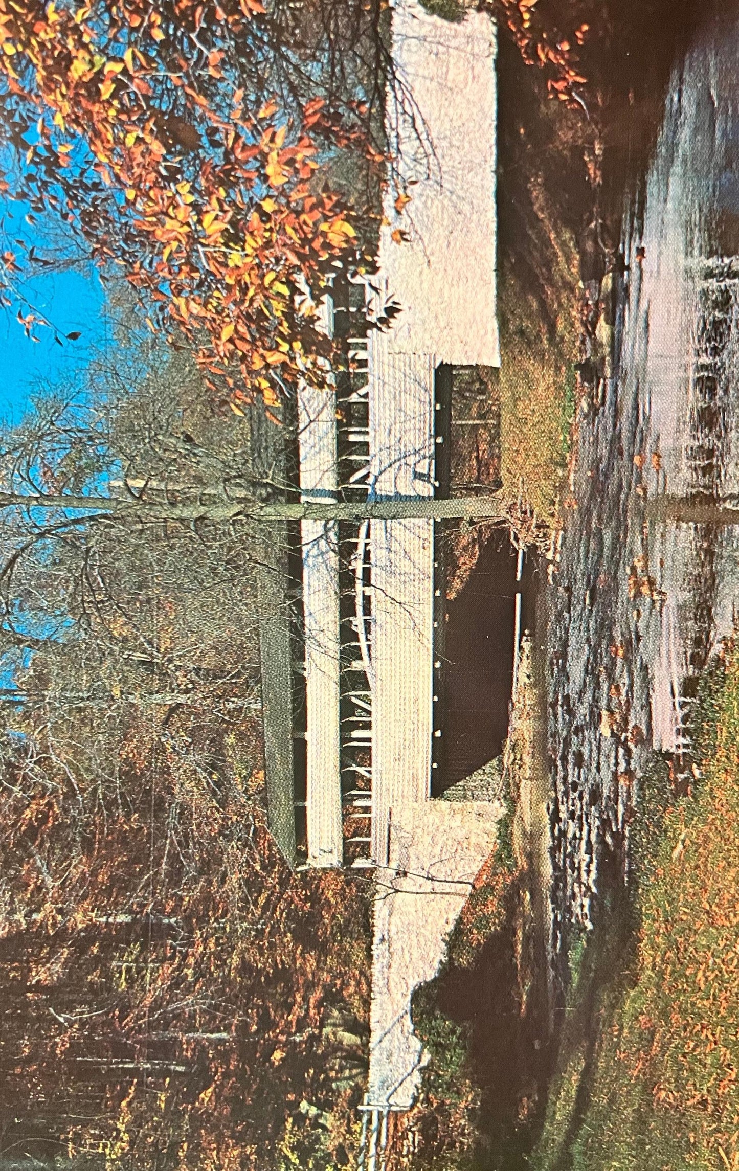 Cover Bridge - Valley Forge Park, Pennsylvania - Vintage Bridge Postcard